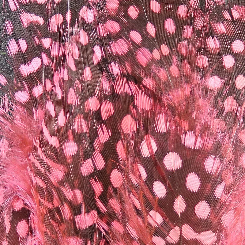 Shrimp Pink