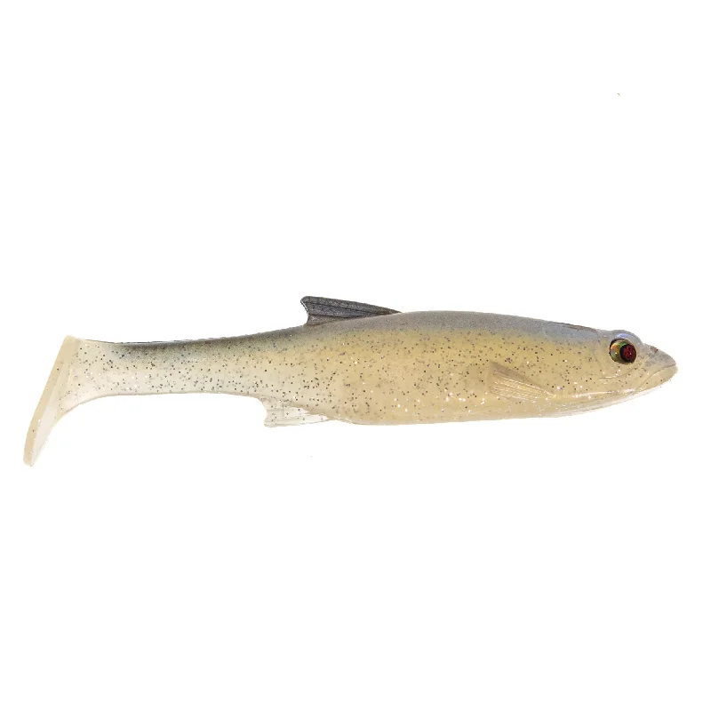 Blackback Shad