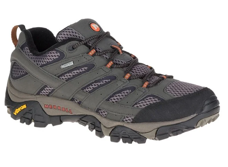 Men's Moab 2 GTX Low Shoe