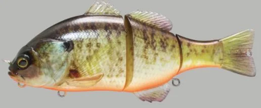 RT Blue Gill