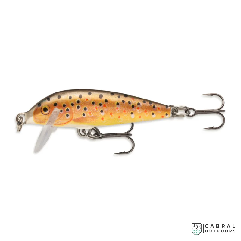 Brown Trout TR