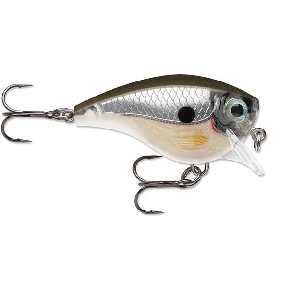 Pearl Grey Shiner