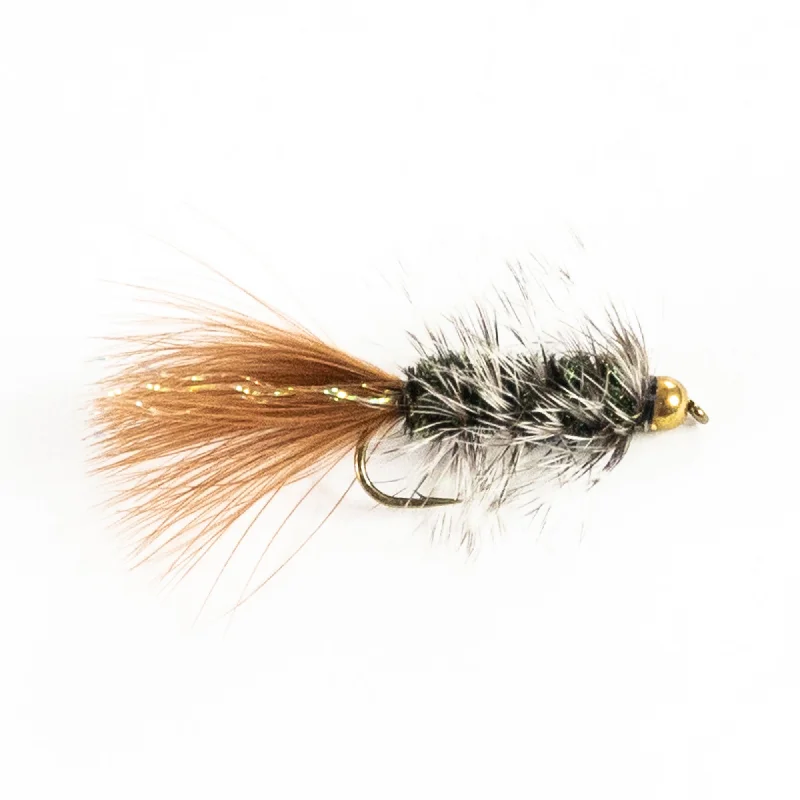 Peacock Brown