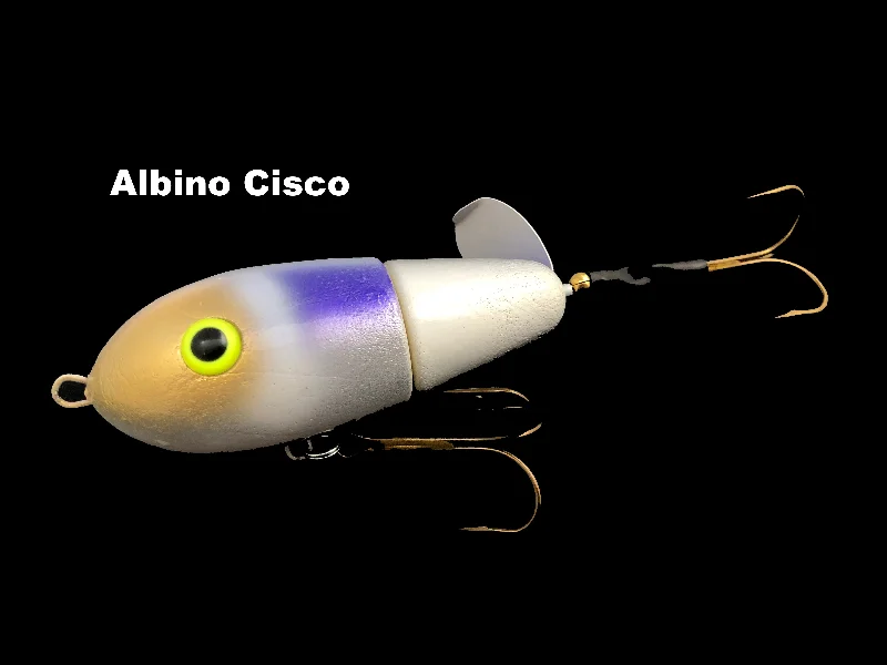 Albino Cisco (TRO Exclusive)