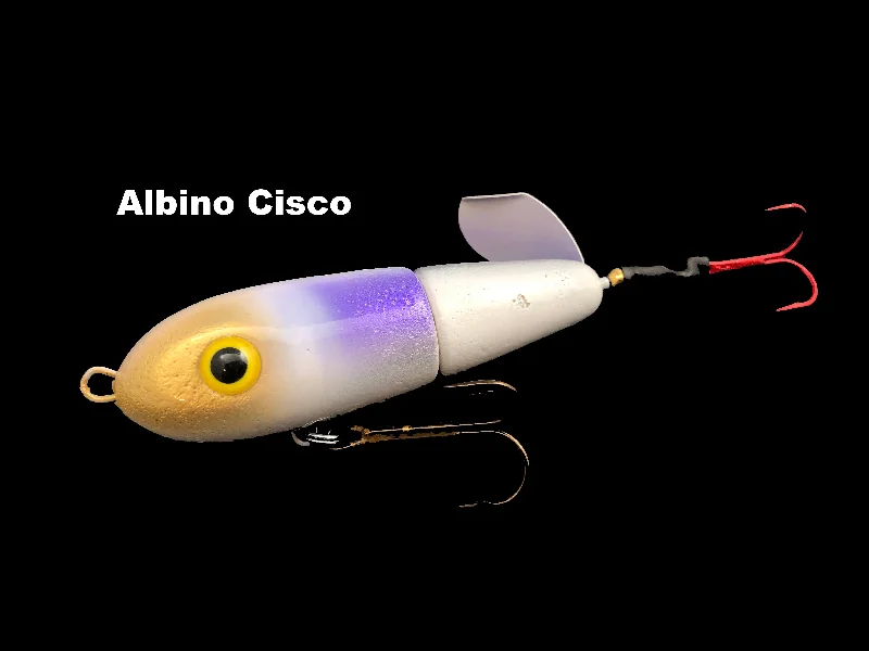 Albino Cisco (TRO Exclusive)